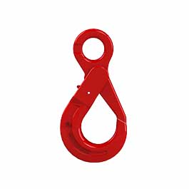 Güteklasse 8 Selflocking-Haken mit Öse